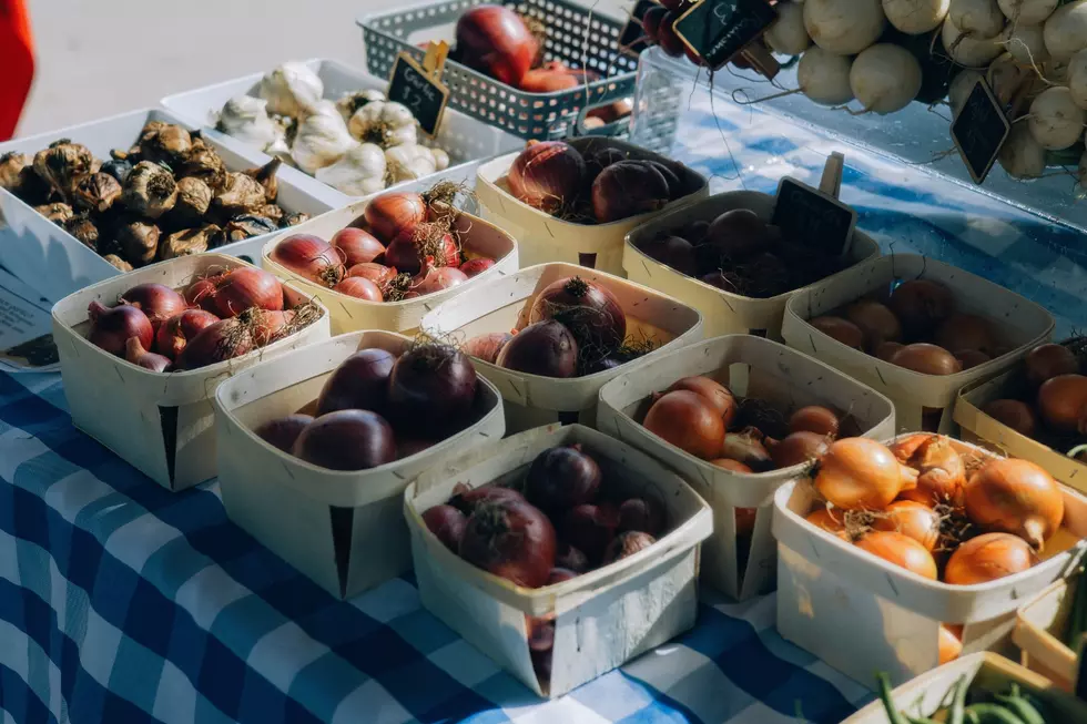 October is the final month for the 2026 edition of the East Lansing Farmers Market. Photo via Unsplash (Bruno Guerrero)
