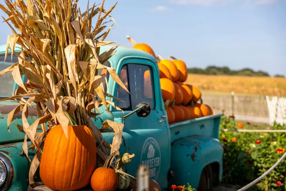 Grand Ledge Is Packing Two Fall Celebrations Into One Day