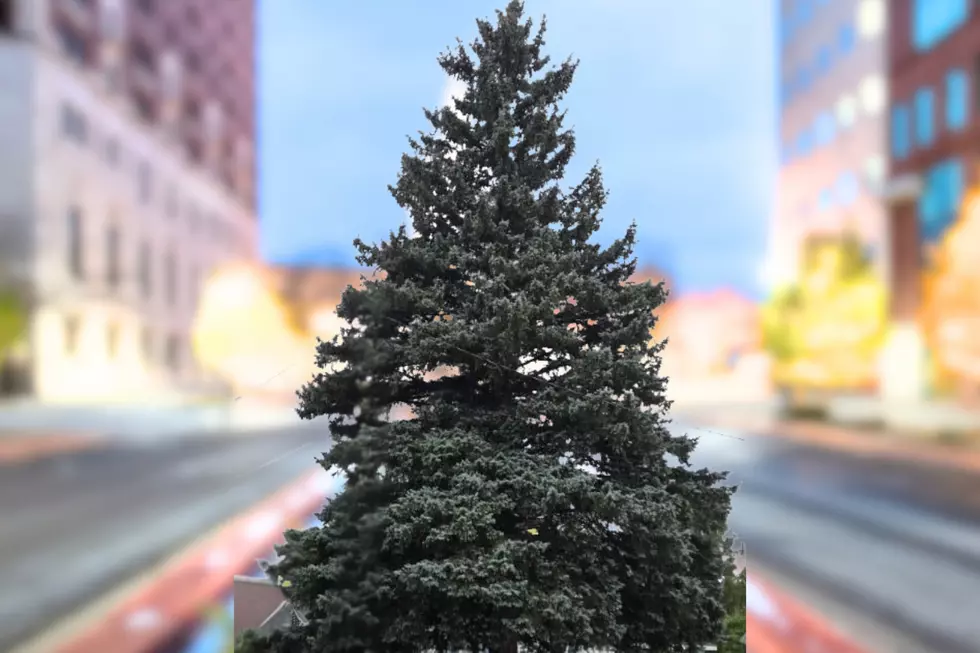 How Do You Move a 60-Foot Christmas Tree Across Michigan?