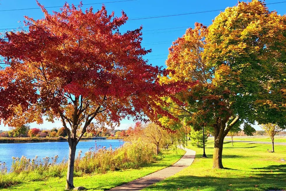 It might be a bit before Mid-Michigan begins to see its most brilliant fall colors. Photo via Unsplash (Christi M)