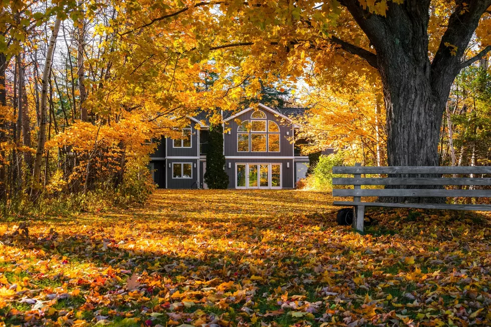 Michigan's most brilliant fall colors are largely dependent on certain weather conditions. Photo via Unsplash (Jonnelle Yankovich)