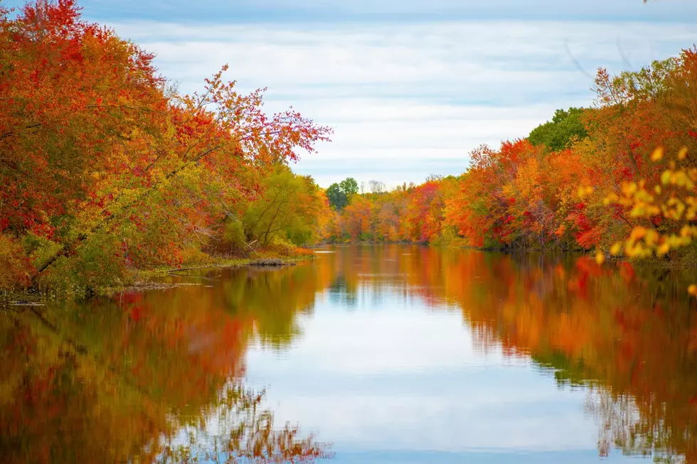 Still Seeing Green? Here’s When Lansing’s Fall Colors Should Peak