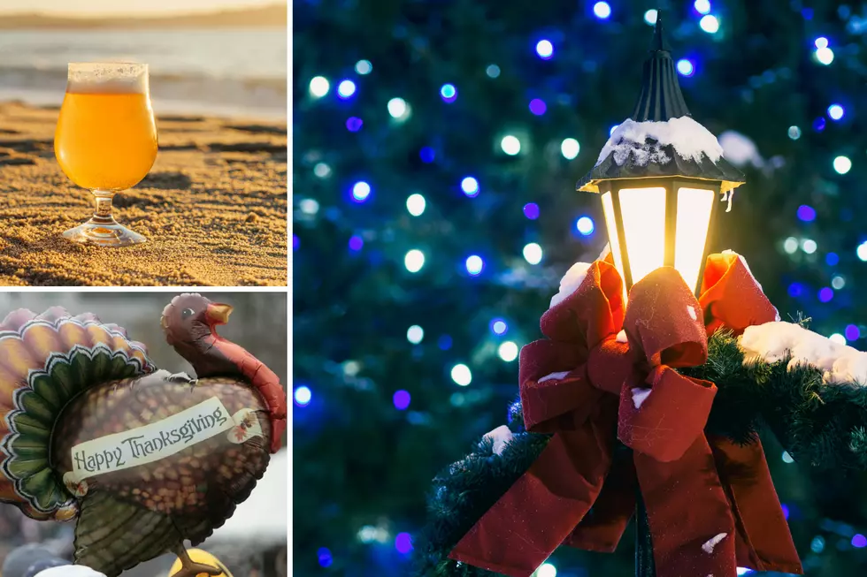 11 Events You Don’t Want to Miss This November in Michigan