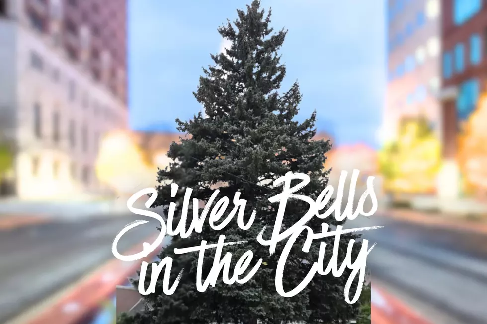 Silver Bells in the City returns to downtown Lansing on November 20 with its beloved Electric Light Parade, Christmas tree lighting and fireworks. (Photos via Canva and Michigan Department of Technology, Management & Budget)