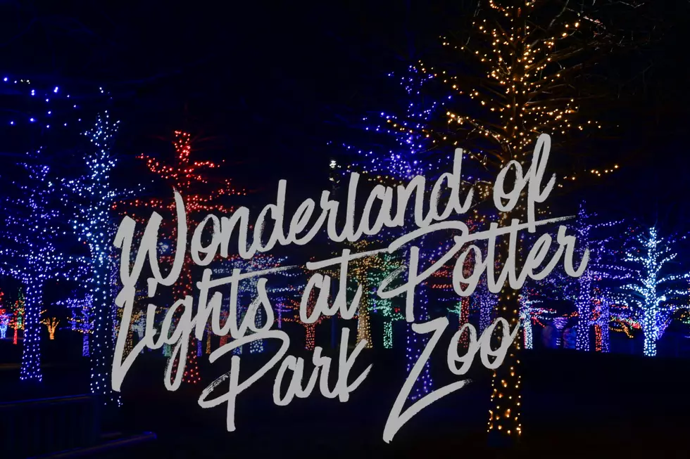 Wonderland of Lights transforms Lansing's Potter Park Zoo into a sparkling holiday attraction beginning November 21, with select dates through December. (Photo via Bryan Dickerson on Unsplash)
