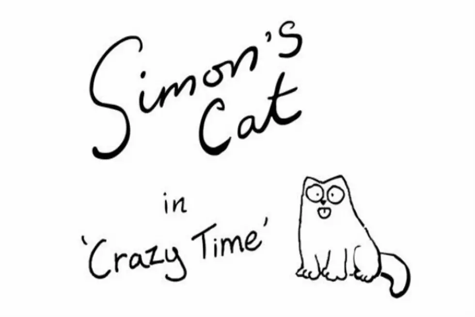 Simon&#8217;s Cat is Our Cat Lily Mae 