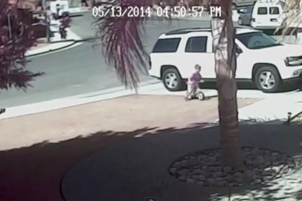 World’s Most Awesome Cat Rescues Little Boy From Dog Attack [Video]