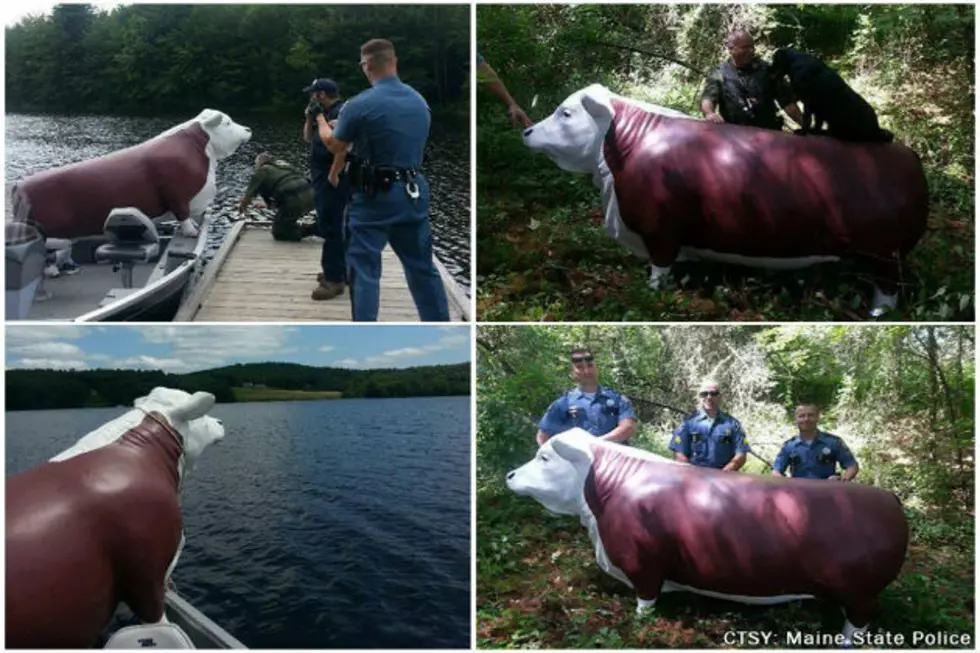State Police Answer &#8220;Where&#8217;s The Beef?&#8221; [PHOTOS]
