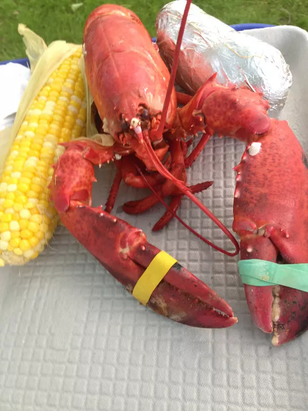 The Evolution of Lobster &#8211; Once Fed To Prisoners, Now A Delicacy!