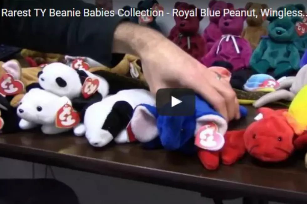 These Beanie Babies are Worth HOW MUCH?
