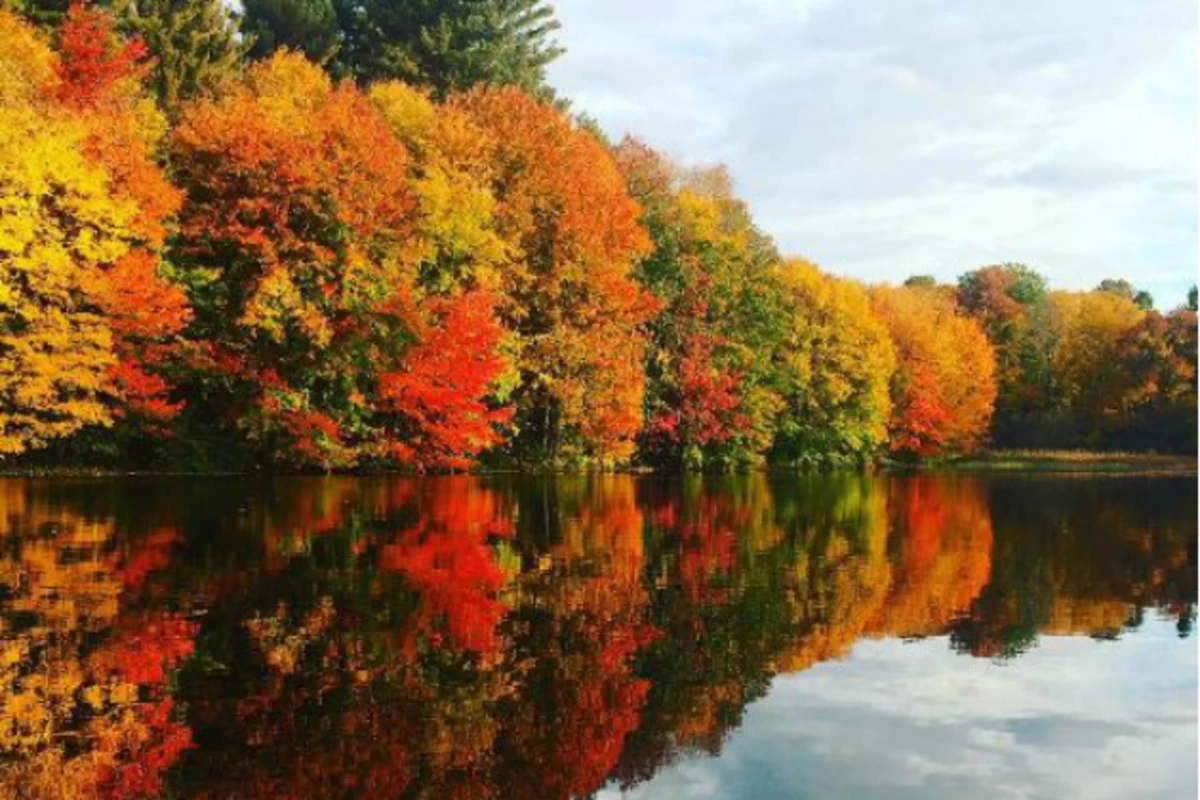 This Drone Footage Of Fall Foliage Will Remind You Why New England Is ...