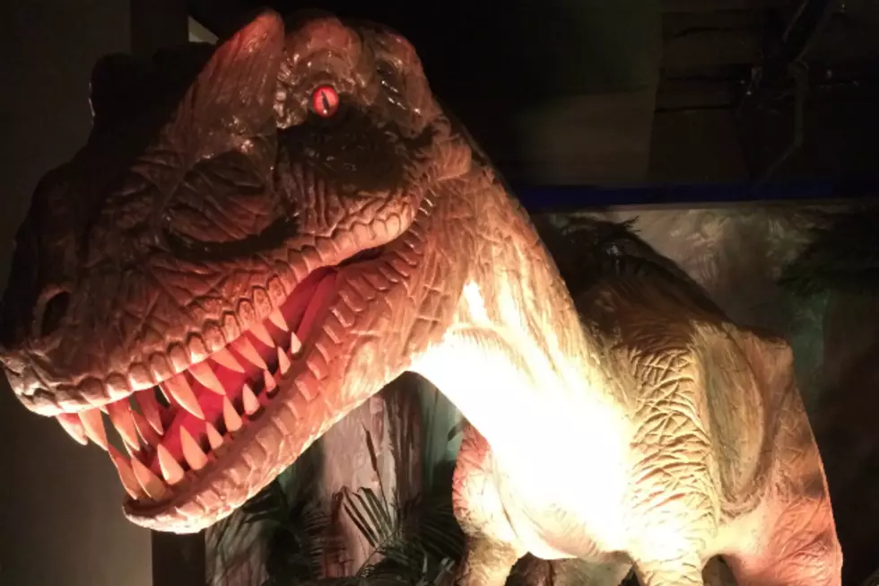 [SNEAK PEEK]: Dinosaurs Unearthed at the Portland Science Center