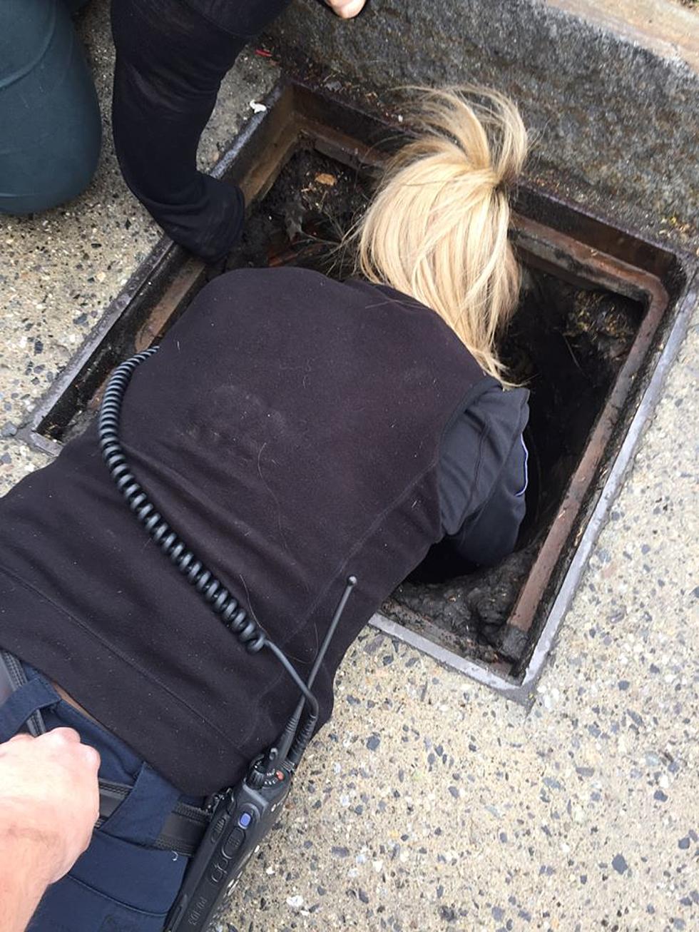 See Pics: Portland Police Officer Saves a Duckling from a Sewer