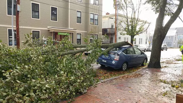 See Pictures Of The Storm Damage In Maine &#038; New Hampshire