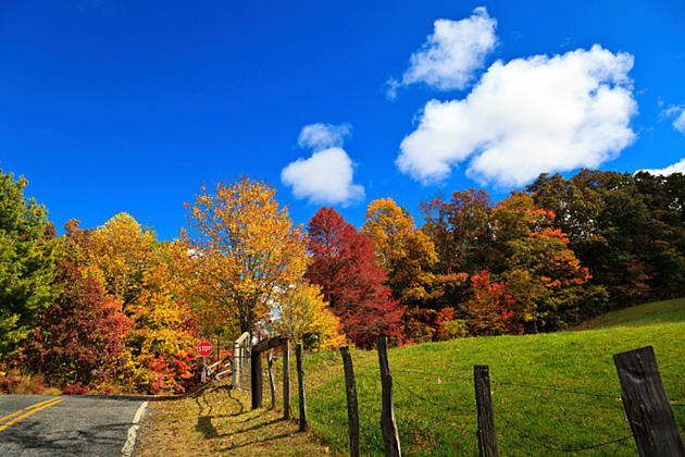 Stunning New Hampshire Fall Foliage Photography