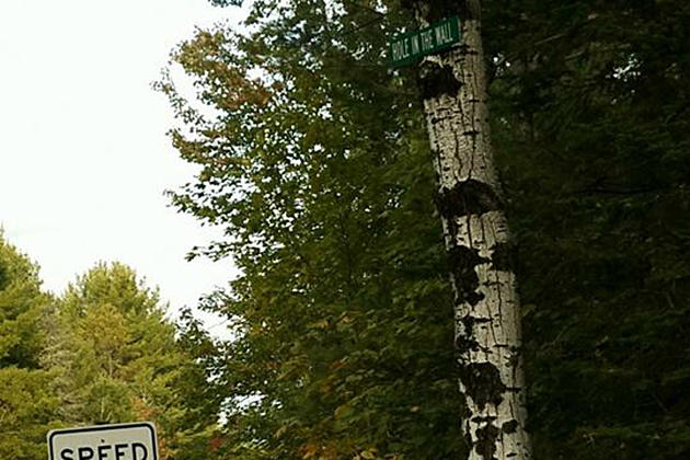 The Most Unique Street Names In Maine