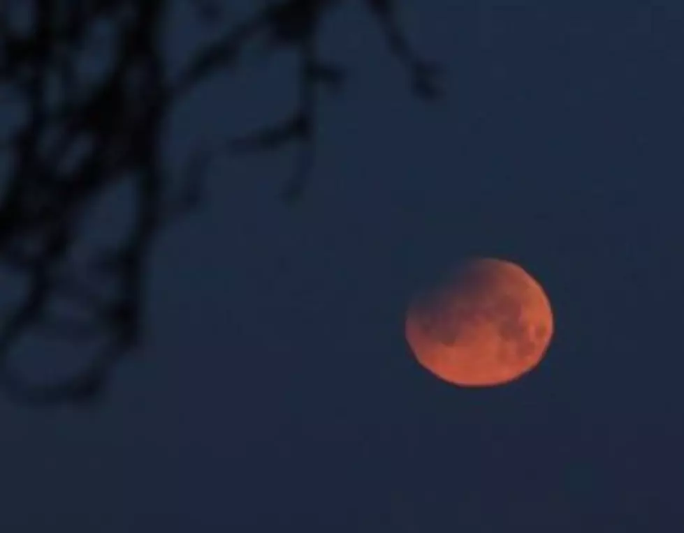 Brilliant Super Blue Blood Moon Photo Taken By HOM Listener