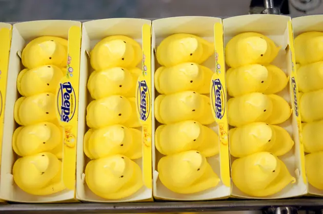 New Englanders Tell Us How They Really Feel About Easter Peeps Marshmallow Candy