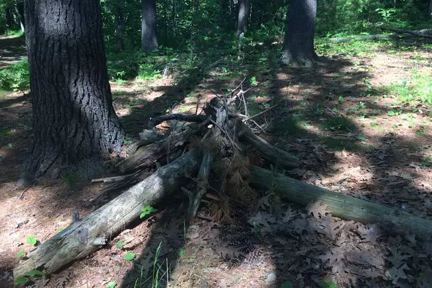 Do Fairies Really Live On This Maine Island?