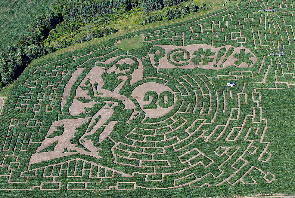 ROAD TRIP WORTHY: Get Lost Inside New England&#8217;s Largest Corn Maze