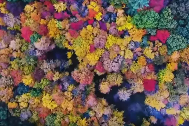 Mesmerizing Drone Footage Of NH Fall Foliage Will Take Your Breath Away