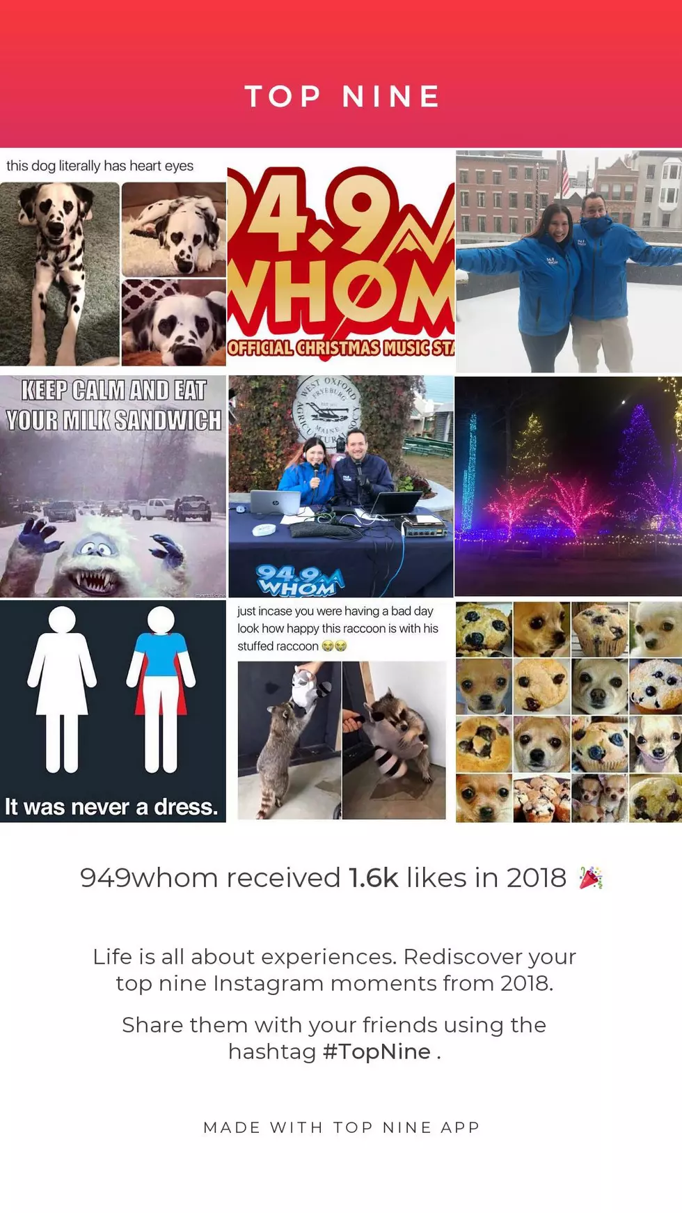 Here’s How To Get A Collage Of Your Top Instagram Pics Of 2018