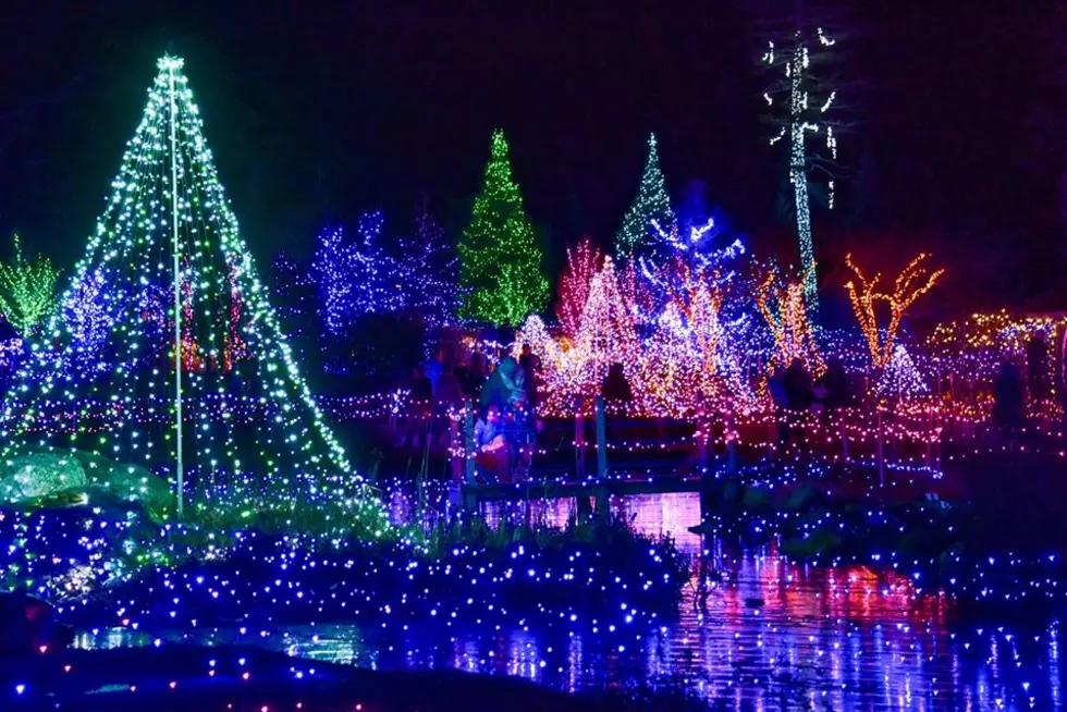 Experience Magical Gardens Aglow At Boothbay S Festival Of Lights