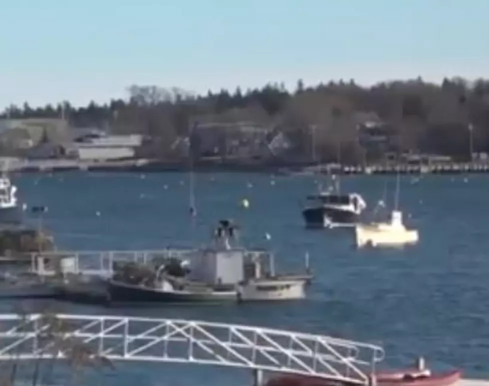 U.S. Coast Guard Searching For 3 People In Sailboat Off Mount Desert Island