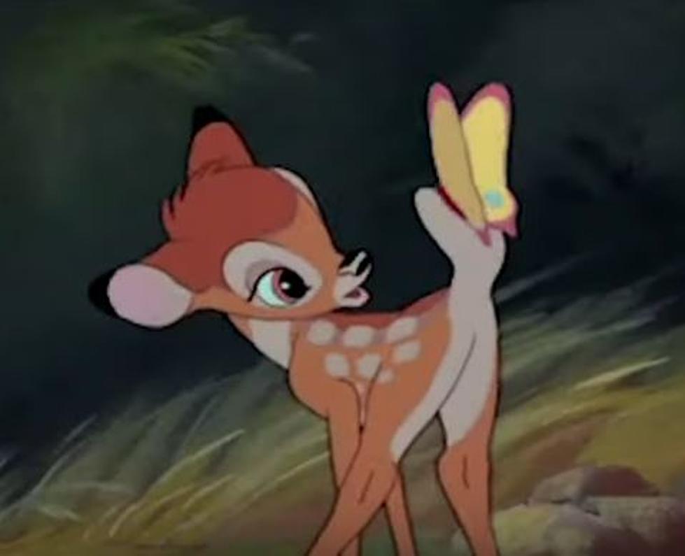 Walt Disney’s ‘Bambi’ Is Modeled On A White-Tailed Maine Deer