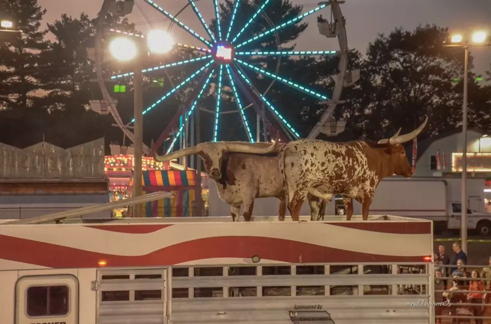 The Cumberland County Fair Will Not Happen In 2020