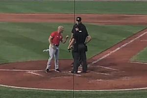 An Epic Meltdown Happened at the Portland Sea Dogs Game on Saturday