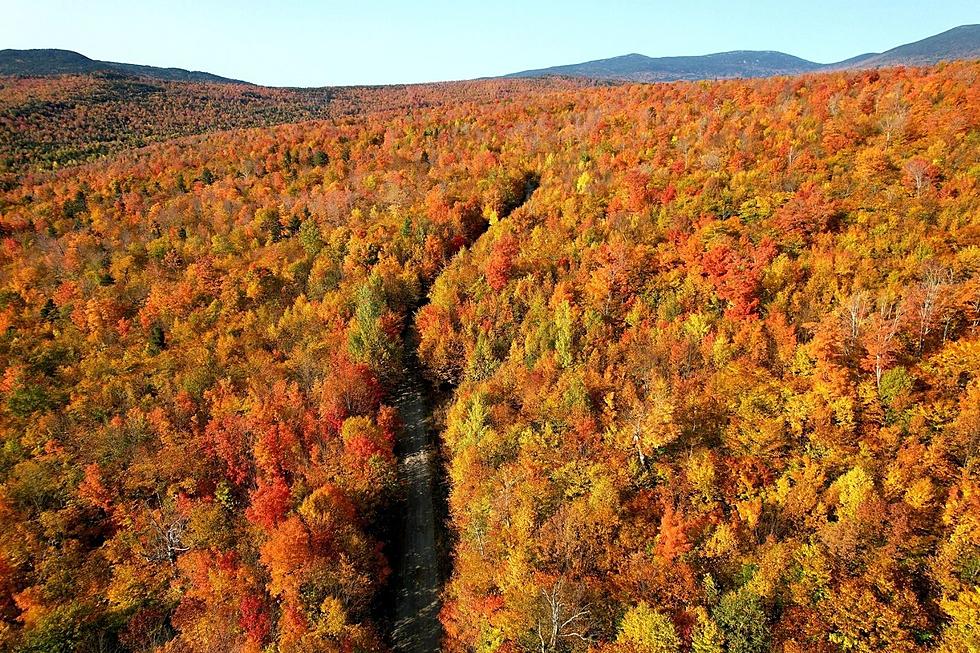 Parts of Maine and New Hampshire Are Slow to Reach Peak Foliage [PHOTOS]