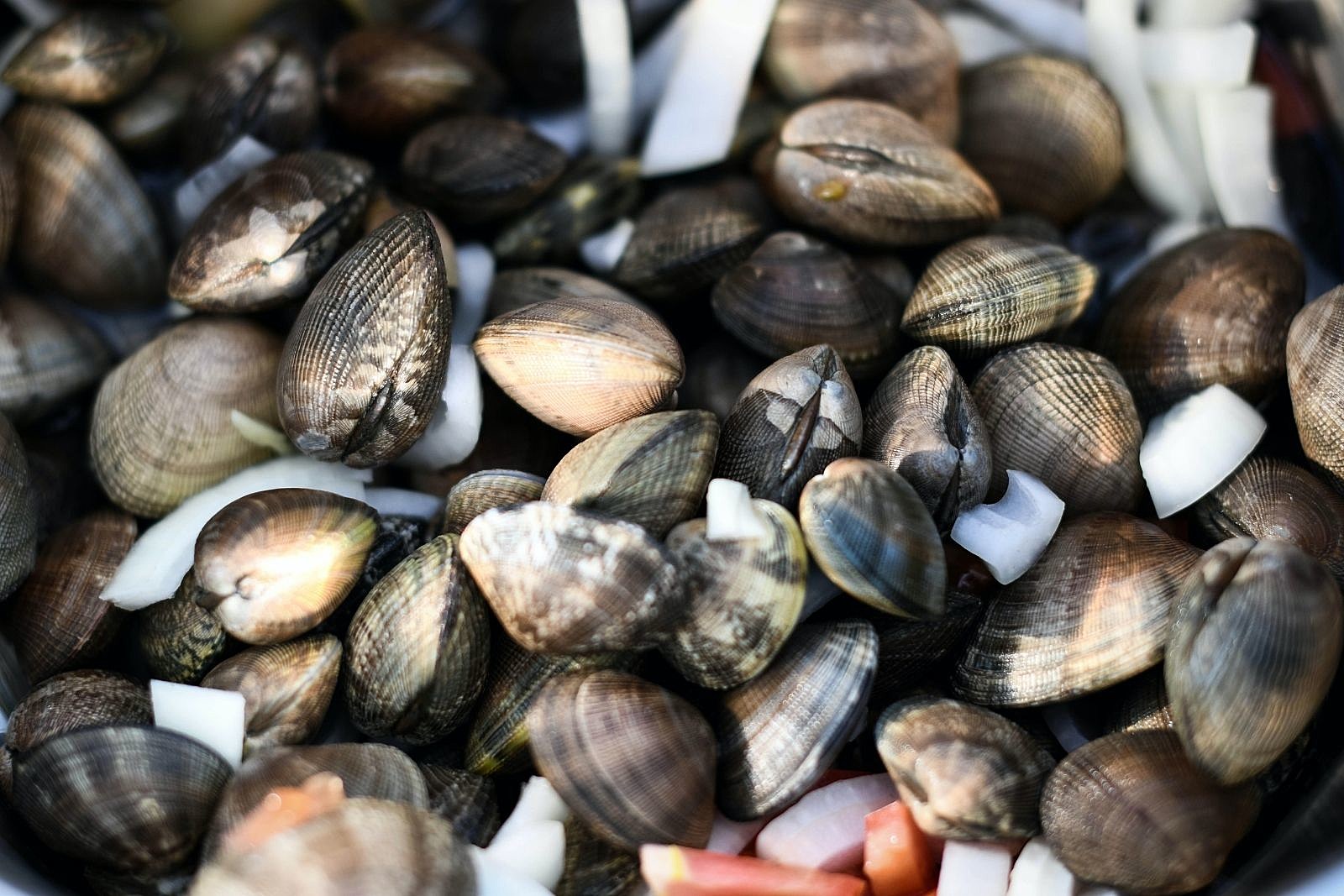 Shuck Yeah! Yarmouth Clam Festival is Returning in Summer 2022