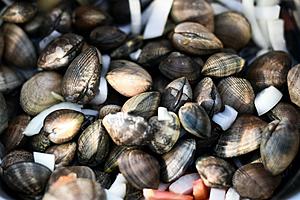 Shuck Yeah! The Yarmouth Clam Festival is Returning to Maine in Summer 2022