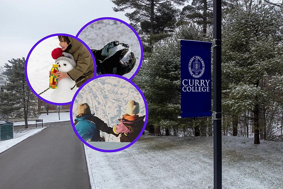 An Open Letter to New England Colleges and Undergraduate Schools About Snow Days
