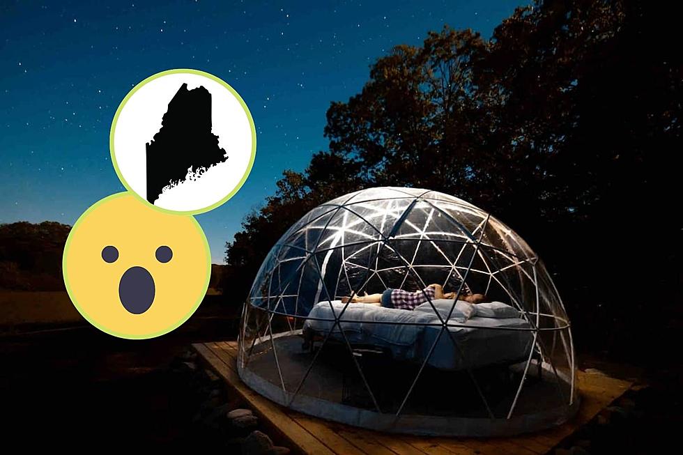 Spend the Night on a Hill in This See-Through Airbnb in Maine