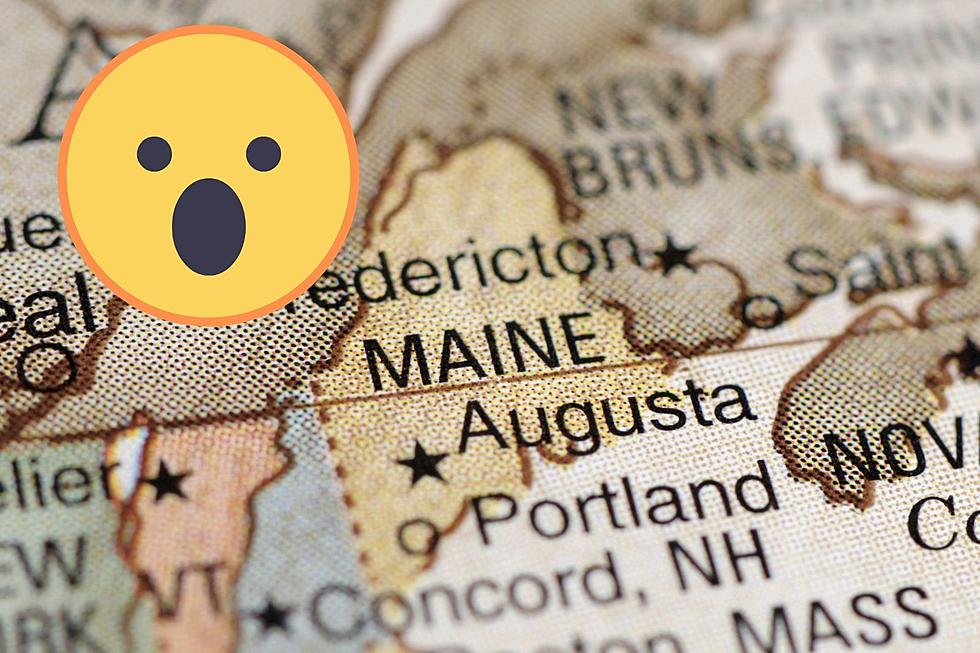 4 Unusual Things You Should Expect to See in Maine