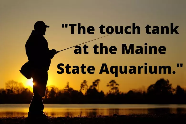 This Weekend, Mainers Can Go Fishing License Free