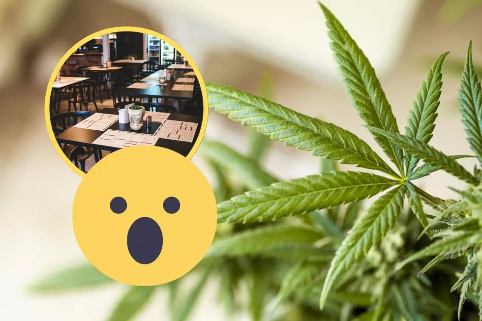 Roll Up, Cannabis Cafes May Be Coming To Massachusetts and Maine