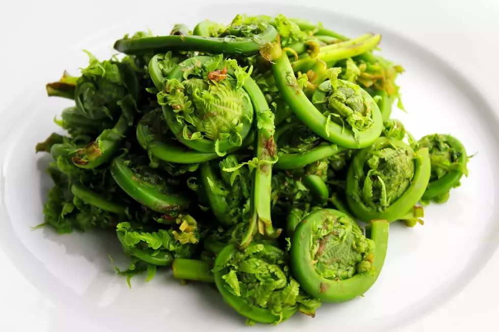 This is Why I Will Never Try Fiddleheads