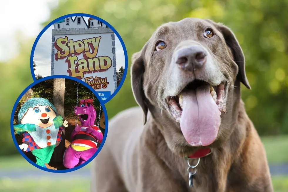 Bring Your Dog to Story Land During Their Paws in Park Event