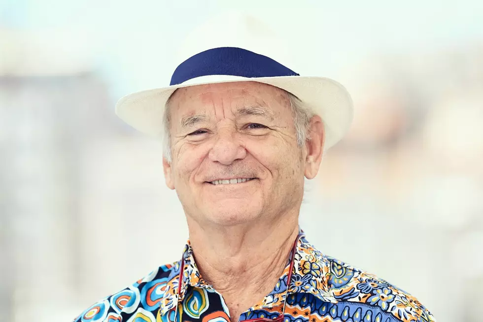 Bill Murray Took Photos With Fans at This New England Restaurant
