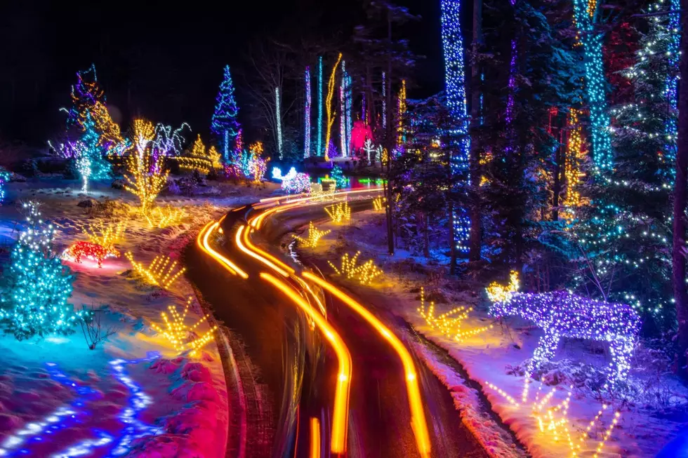 Live in One of These Maine Towns? Get Into Gardens Aglow Free on November 18