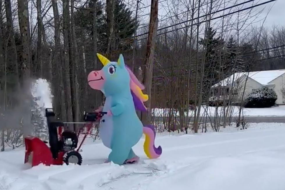 WATCH: New Hampshire Woman Serves Humor While Clearing Out Snow