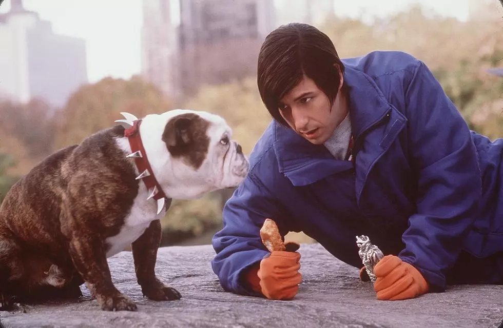 5 Life Lessons That Movies New Hampshire Native Adam Sandler Starred in Secretly Taught You