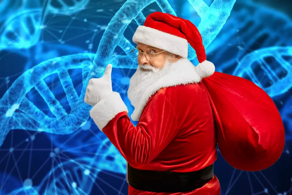 New England Girl Sends Cookie for a DNA Test to See if Santa Came