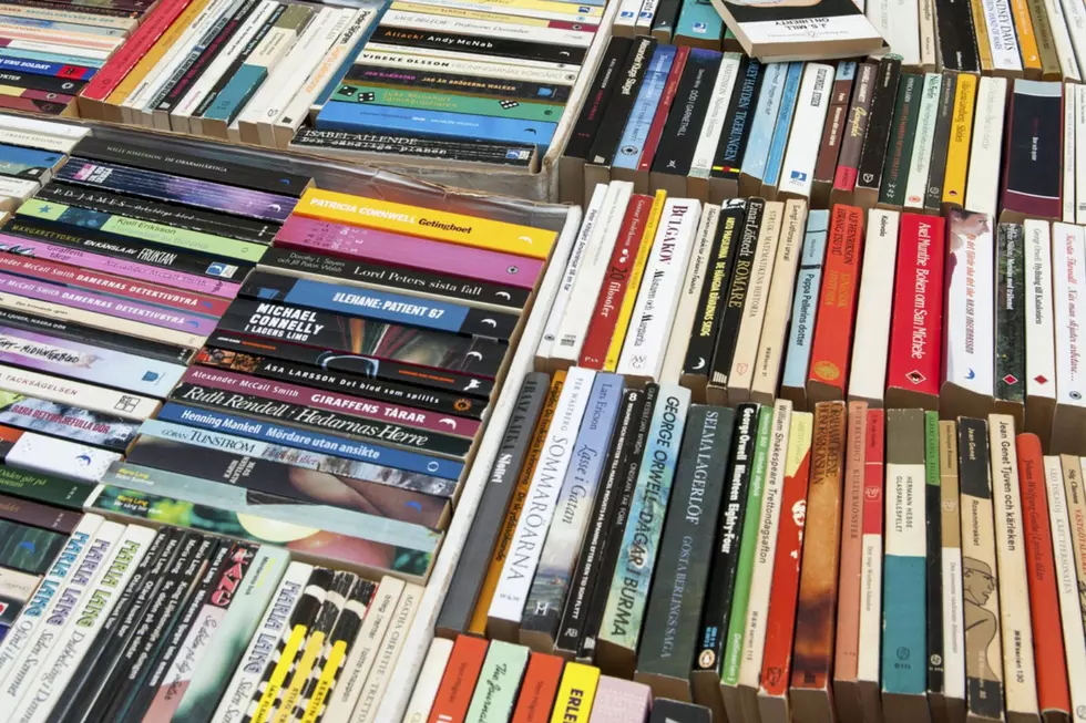 Maine Residents Offered Commonly ‘Banned’ Books Thanks to This Online Bookstore