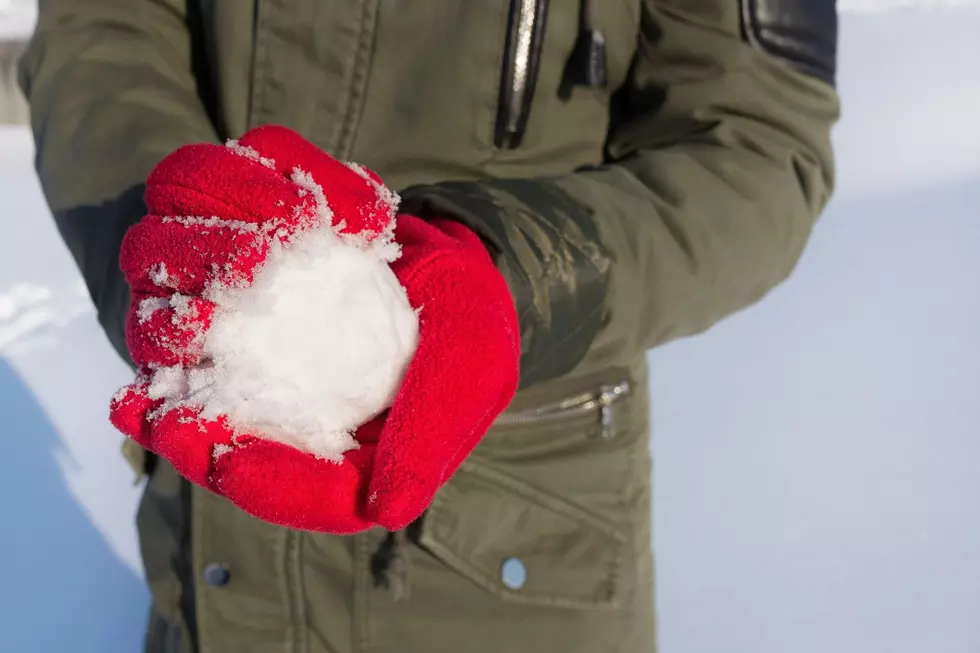 Relive Your Childhood but Better on a Snowy New England Day