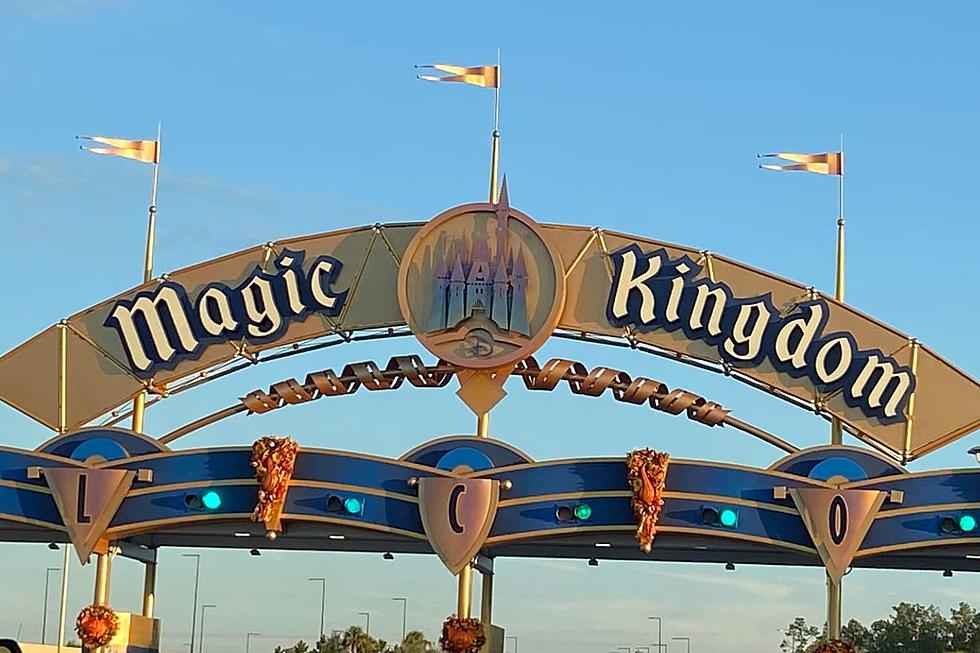 Disney World for School Vacation? What New Englanders Going There Should Know