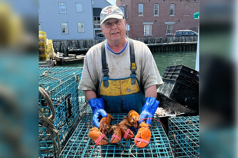 Maine Lobsterman Scored 2 Rare Orange Lobsters in the Same Trap